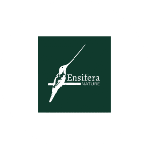Ensifera Nature