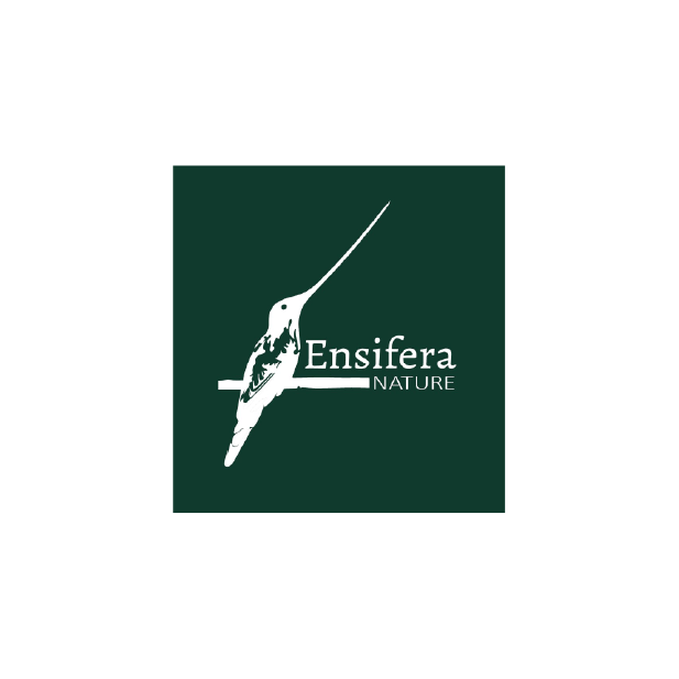 Ensifera Nature
